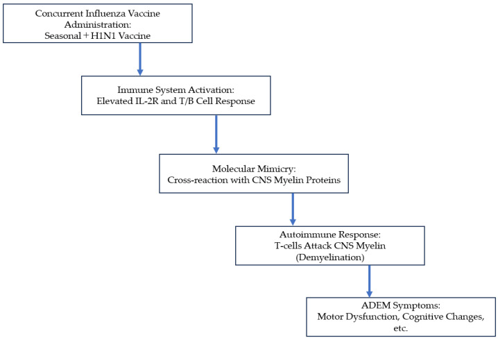 Pediatric Acute Disseminated Encephalomyelitis Triggered by Concurrent Administration of Seasonal and H1N1 Influenza Vaccines: A Case Report and Review.