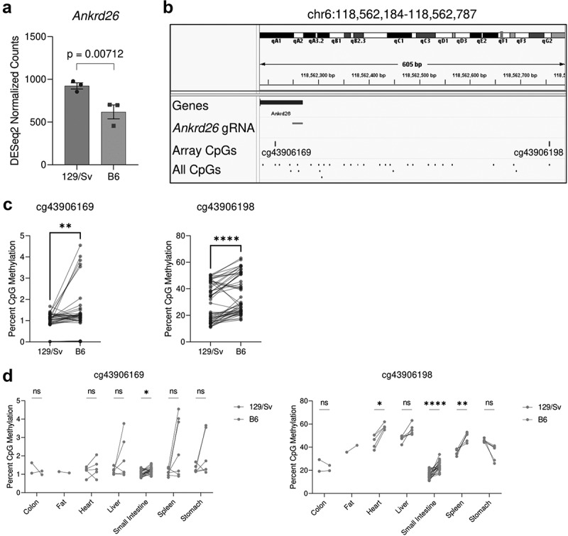 Genetic confounds of transgenerational epigenetic inheritance in mice.