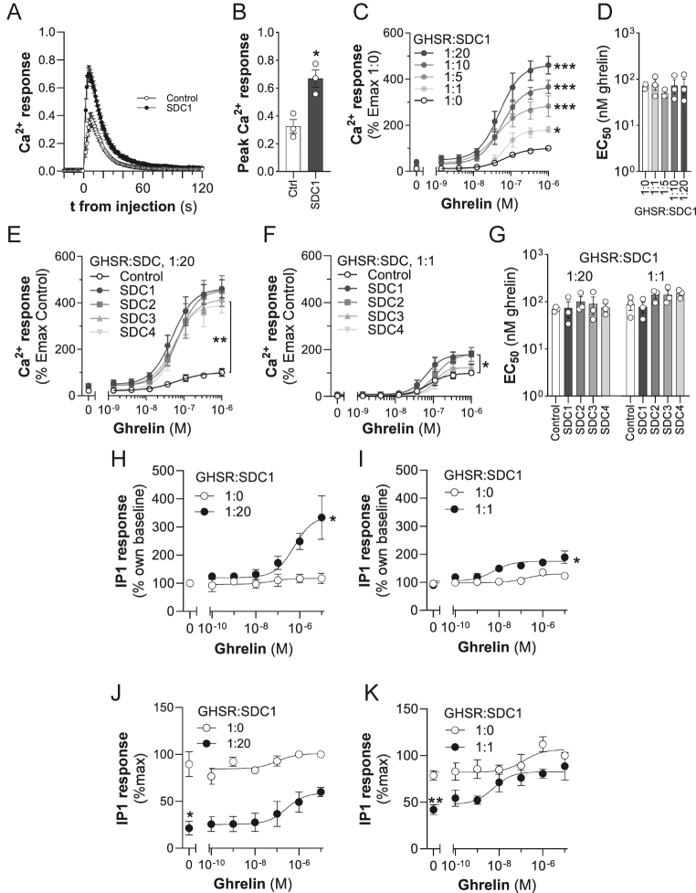 Syndecans modulate ghrelin receptor signaling.