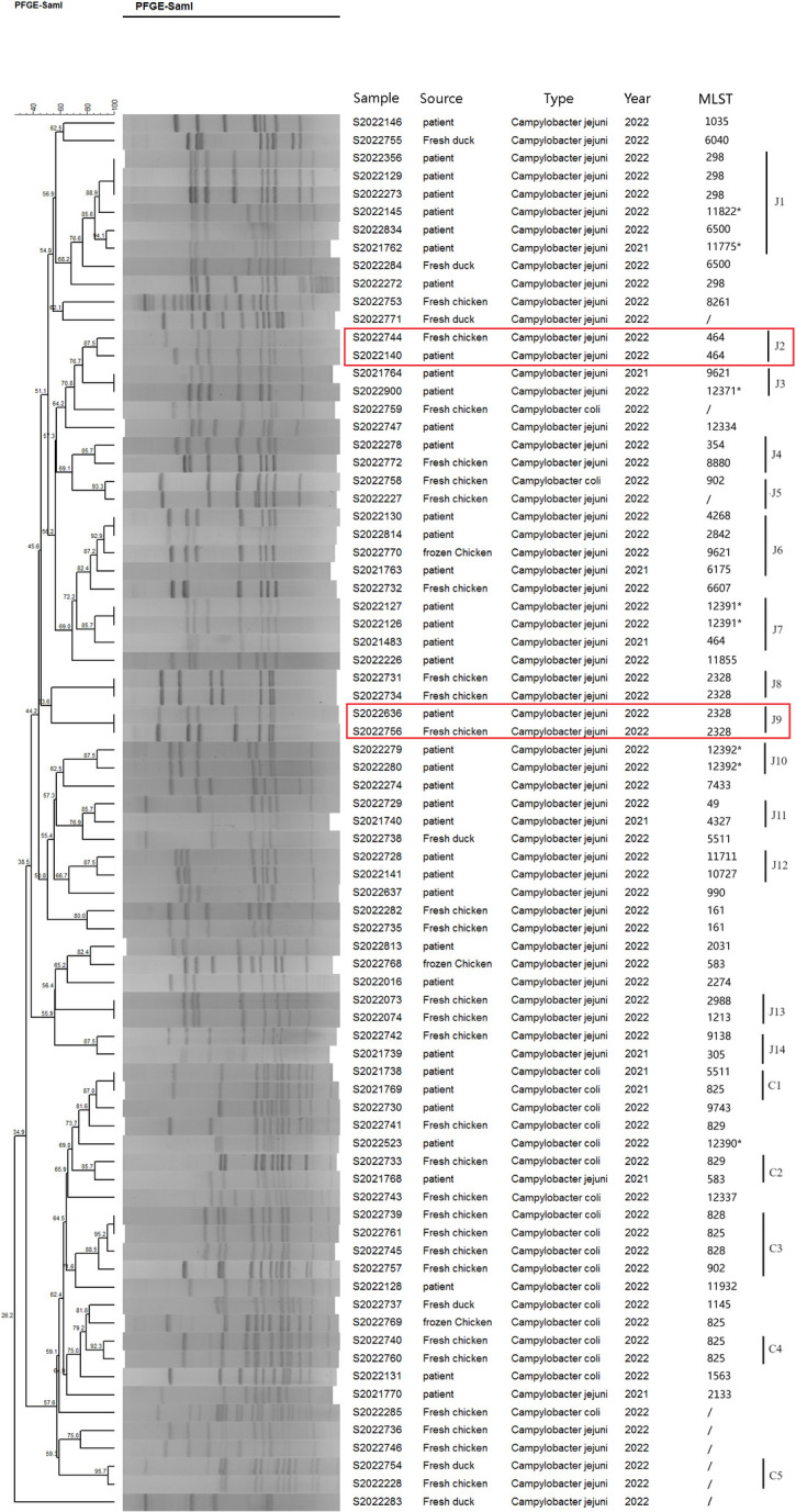 Molecular typing and antimicrobial susceptibility profiles of Campylobacter jejuni and Campylobacter coli Isolates from Patients and raw meat in Huzhou, China, 2021-2022.