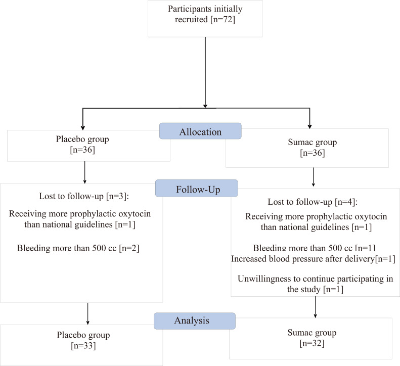 Investigating the Impact of Sumac Capsules on Postpartum Bleeding among Women at Risk of Bleeding: a three-blind randomized clinical trial.