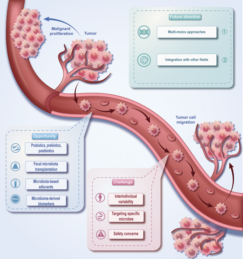 The critical role of tumor microbiome in cancer immunotherapy.