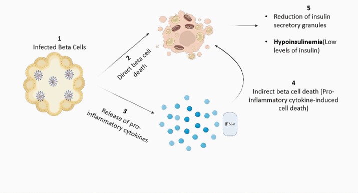 Pathological Sequelae of SARS-CoV-2: A Review for Clinicians.