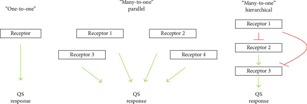 The Bacterial Biofilms: Formation, Impacts, and Possible Management Targets in the Healthcare System.