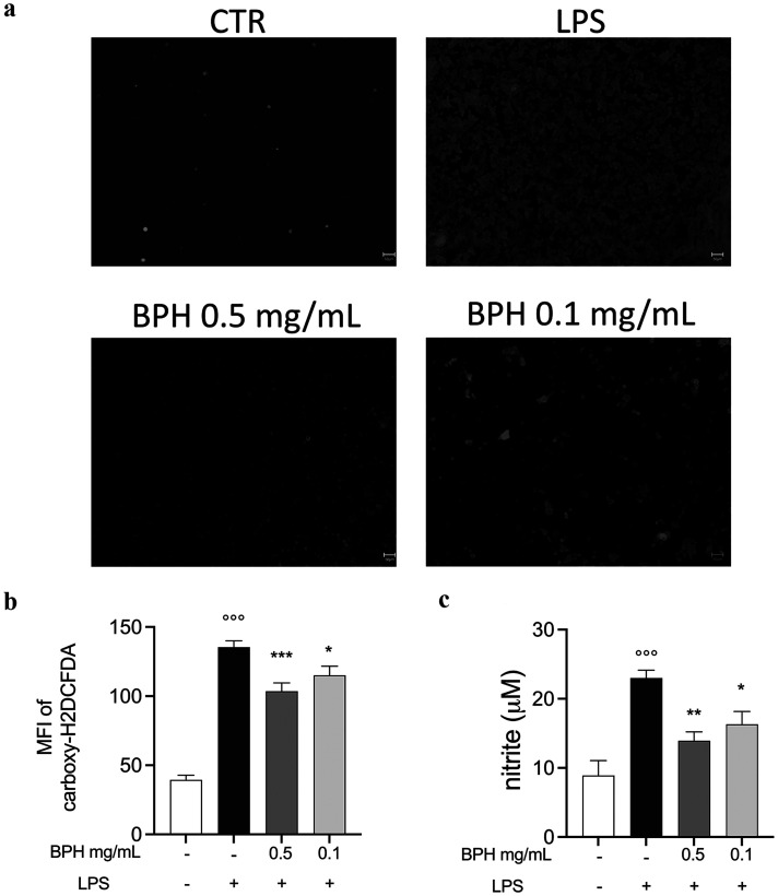 Protein hydrolysates from <i>Hermetia illucens</i> trigger cellular responses to cope with LPS-induced inflammation and oxidative stress in L-929 cells.