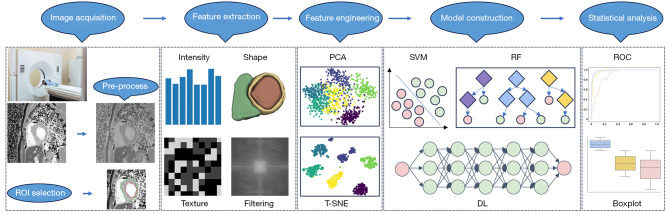 Challenges in clinical translation of cardiac magnetic resonance imaging radiomics in non-ischemic cardiomyopathy: a narrative review.
