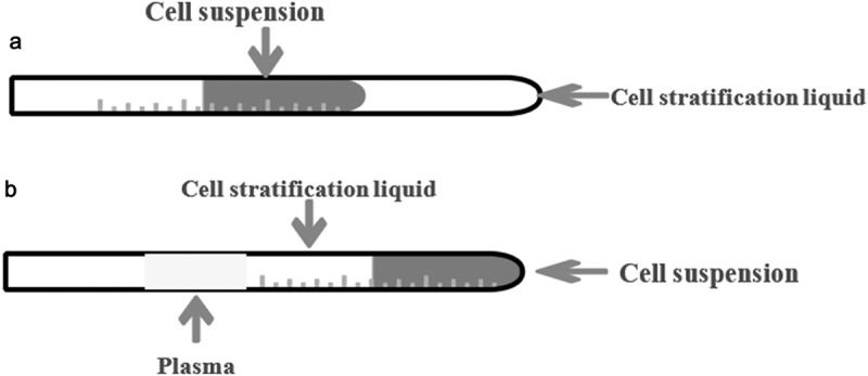 Retracted article: Mechanism of isosorbide dinitrate combined with exercise training rehabilitation to mobilize endothelial progenitor cells in patients with coronary heart disease.