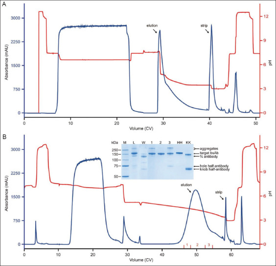 A two-column process for bispecific antibody purification based on MabSelect VL resin's strong byproduct removal capability.