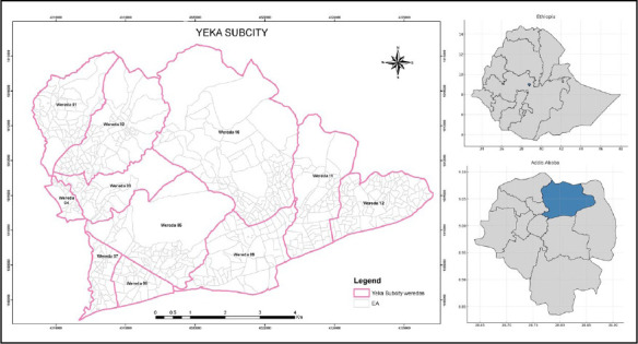 The Addis Health and Demographic Surveillance System (Addis-HDSS): Context and Methods.