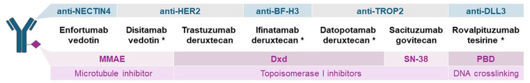The Role of Antibody-Drug Conjugates in Urothelial Cancer: A Review of Recent Advances in the Treatment of Locally Advanced and Metastatic Urothelial Cancer.