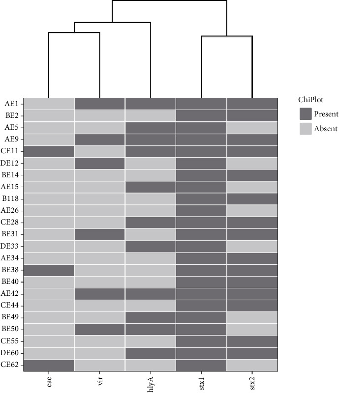 Molecular Detection of Shiga Toxin-Producing <i>Escherichia coli</i> O177 Isolates, Their Antibiotic Resistance, and Virulence Profiles From Broiler Chickens.
