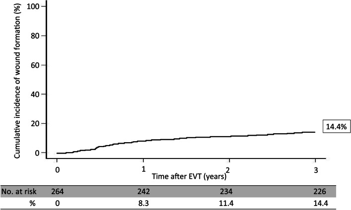 Wound formation in patients with Rutherford category IV disease after endovascular therapy: rates and risk factors.