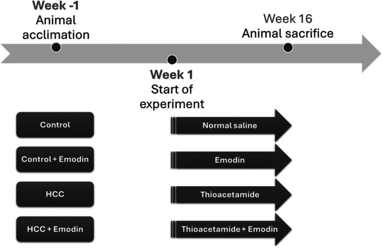 Evaluating anticancer activity of emodin by enhancing antioxidant activities and affecting PKC/ADAMTS4 pathway in thioacetamide-induced hepatocellular carcinoma in rats.