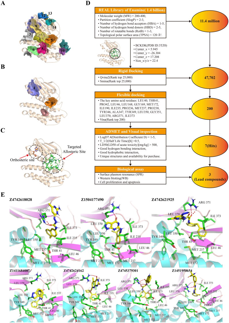 Identification of putative allosteric inhibitors of BCKDK via virtual screening and biological evaluation.