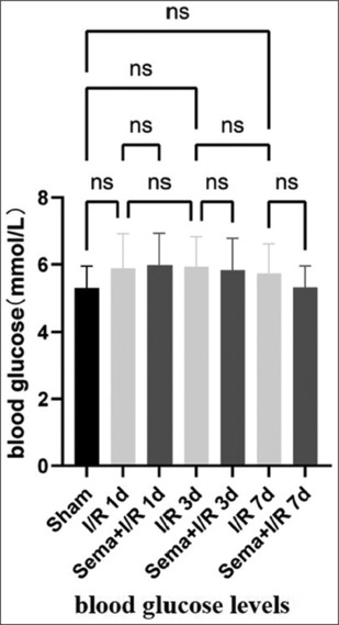 Effects and mechanisms of long-acting glucagon-like peptide-1 receptor agonist semaglutide on microglia phenotypic transformation and neuroinflammation after cerebral ischemia/reperfusion in rats.