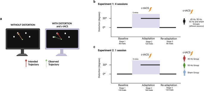 Potentiation of Motor Adaptation Via Cerebellar tACS: Characterization of the Stimulation Frequency.