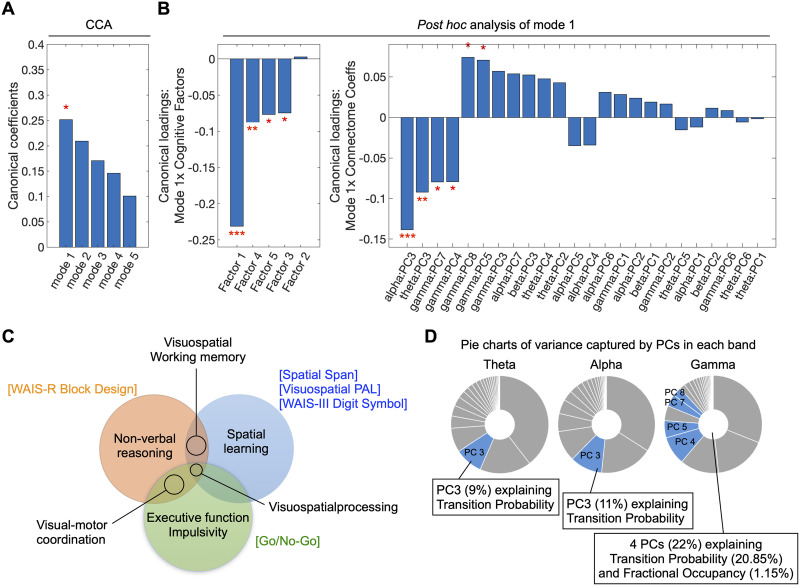 Cognitive abilities are associated with rapid dynamics of electrophysiological connectome states.