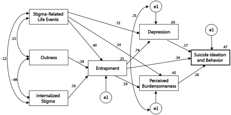 An Integrative Psychological Model of Risk Factors for Suicidal Ideation and Behavior Among Israeli LGBT Individuals.