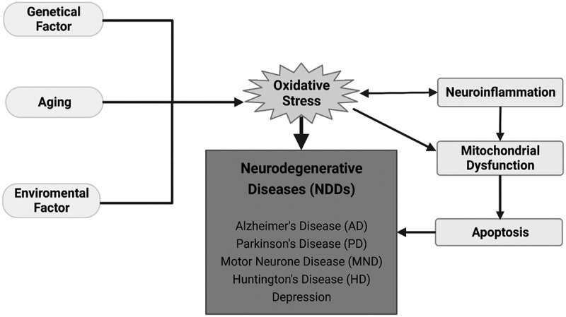 JNK3 inhibitors as promising pharmaceuticals with neuroprotective properties.