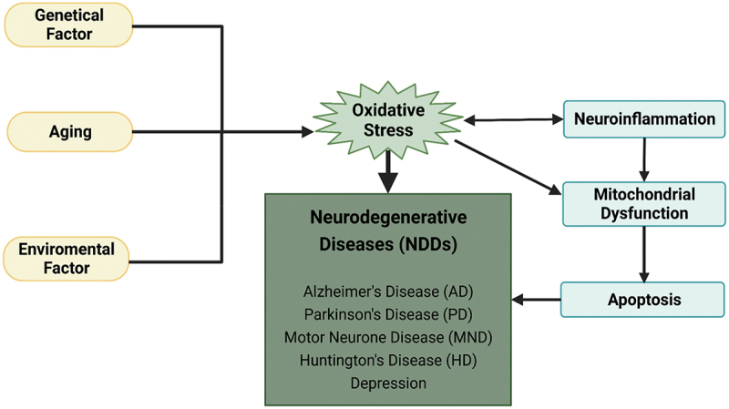 JNK3 inhibitors as promising pharmaceuticals with neuroprotective properties.