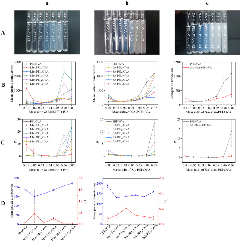 Mannose/stearyl chloride doubly functionalized polyethylenimine as a nucleic acid vaccine carrier to promote macrophage uptake.