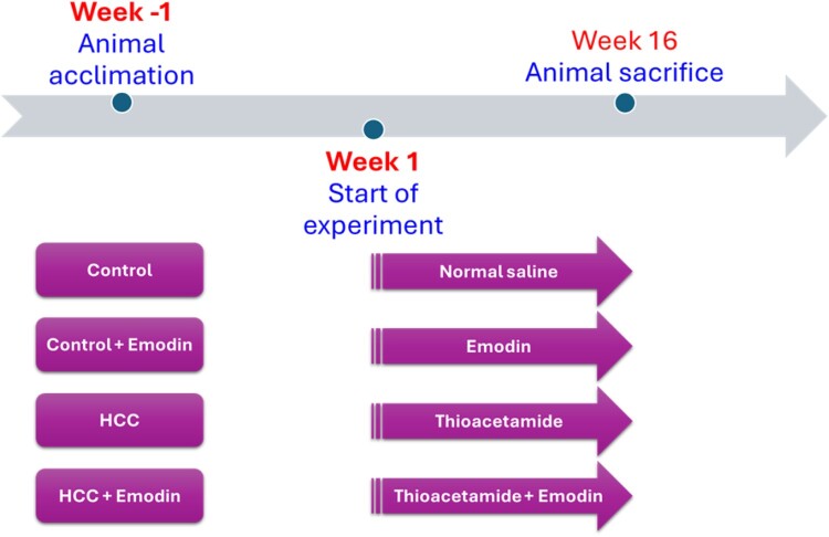 Evaluating anticancer activity of emodin by enhancing antioxidant activities and affecting PKC/ADAMTS4 pathway in thioacetamide-induced hepatocellular carcinoma in rats.