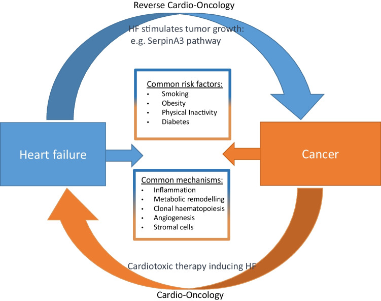 Cancer Development and Progression in Patients with Heart Failure.