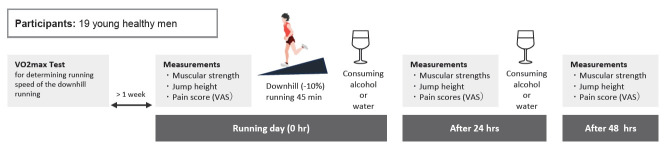 Alcohol consumption after downhill running does not affect muscle recovery but prolongs pain perception in East Asian men.