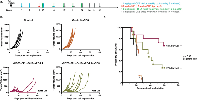 Efficacy and pharmacodynamic effect of anti-CD73 and anti-PD-L1 monoclonal antibodies in combination with cytotoxic therapy: observations from mouse tumor models.
