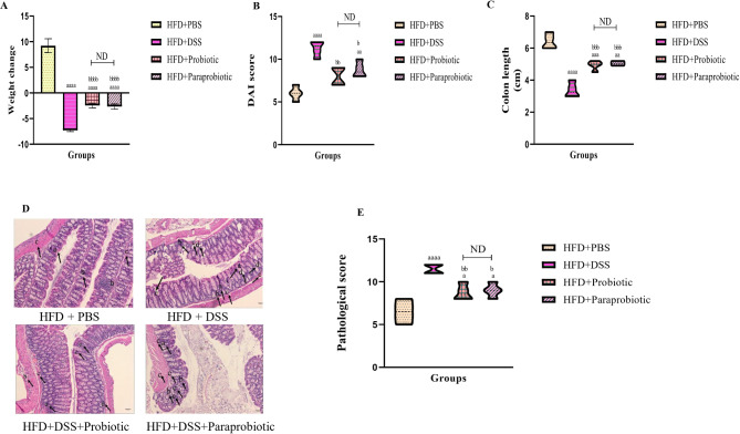 Comparison of novel native probiotics and paraprobiotics in modulating oxidative stress and inflammation in DSS-induced colitis: implications for enhanced therapeutic strategies in high fat diet.