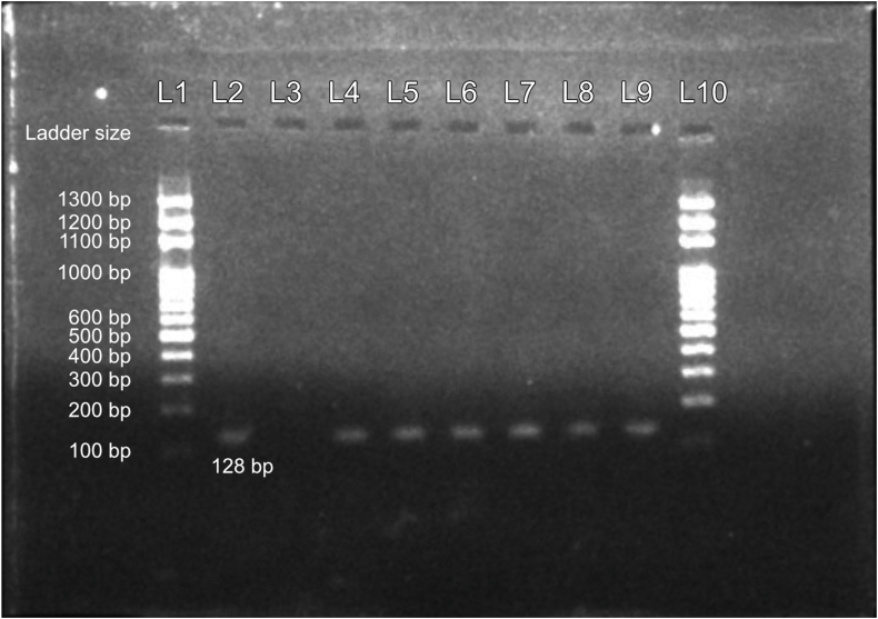 Concurrent presence of Staphylococcal Cassette Chromosome mec types of Meticillin-Resistant Staphylococcus aureus in hospital environments and post-operative patients at a hospital in Kathmandu, Nepal