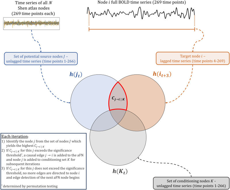 Contrasting topologies of synchronous and asynchronous functional brain networks.