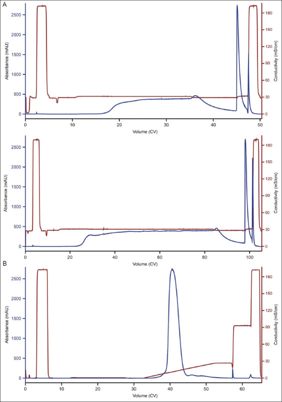 A two-column process for bispecific antibody purification based on MabSelect VL resin's strong byproduct removal capability.