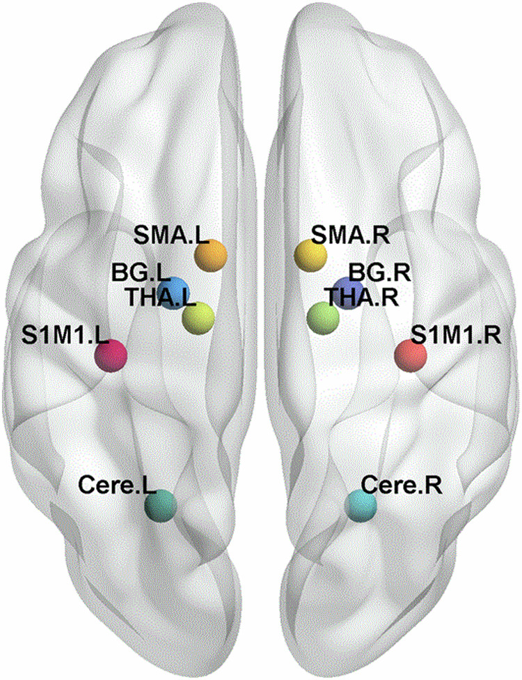 An fMRI study on the generalization of motor learning after brain actuated supernumerary robot training.