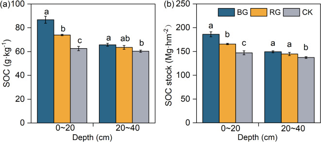 Recovery in soil carbon stocks but reduced carbon stabilization after near-natural restoration in degraded alpine meadows.
