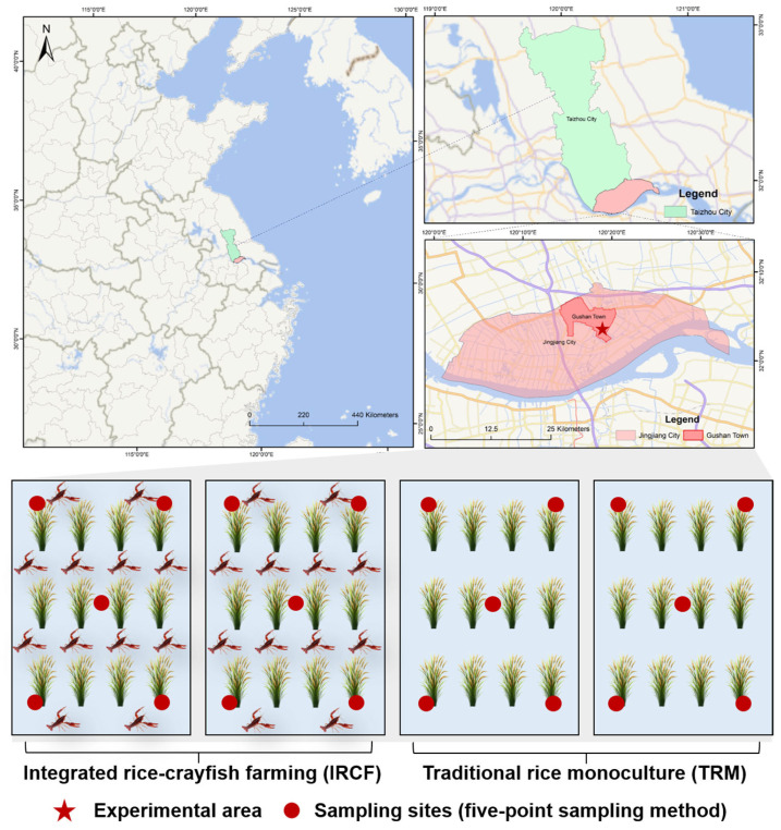 Dynamic Impact of One-Year Integrated Rice-Crayfish Farming on Bacterioplankton Communities in Paddy Water.