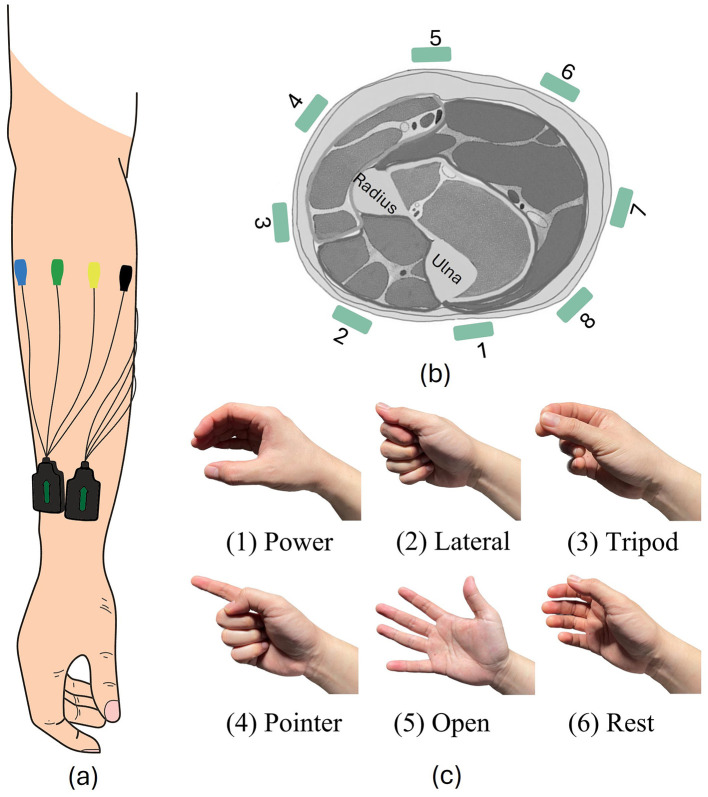 Posture-invariant myoelectric control with self-calibrating random forests.