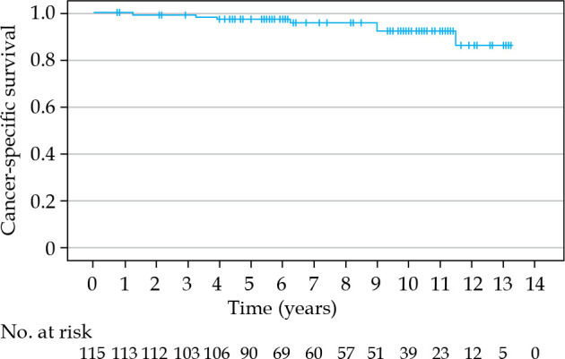 Prostate brachytherapy boost: Long-term results of protocol-based treatment of patients with non-metastatic prostate cancer.