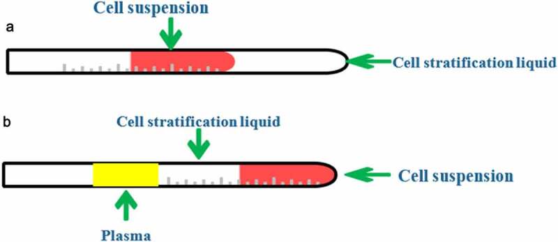 Retracted article: Mechanism of isosorbide dinitrate combined with exercise training rehabilitation to mobilize endothelial progenitor cells in patients with coronary heart disease.