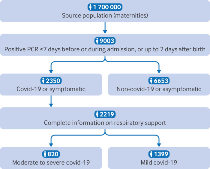 Pregnant women admitted to hospital with covid-19 in 10 European countries: individual patient data meta-analysis of population based cohorts in International Obstetric Survey Systems.