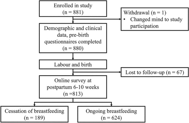 Investigating the association between labor pain and cessation of breastfeeding.