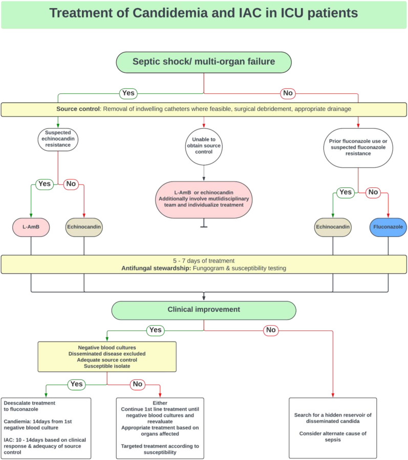 A Narrative Review of Invasive Candidiasis in the Intensive Care Unit.