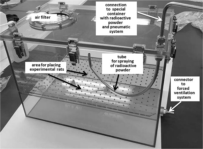 Internal radiation dose estimates in organs of Wistar rats exposed to sprayed neutron-activated 31SiO2 microparticles: first results of international multicenter study.