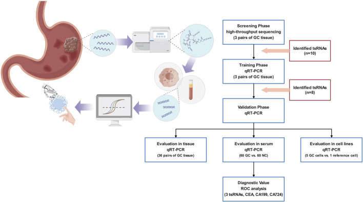 Dysregulated transfer RNA-derived small RNAs as potential gastric cancer biomarkers.