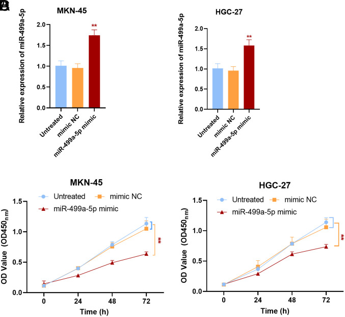 Functional Role of miR-499a-5p in the Development of Gastric Cancer.