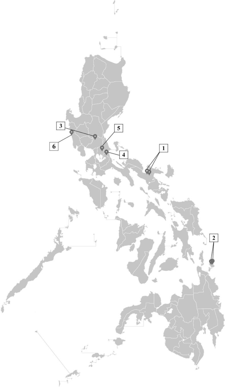 Molecular characterization and zoonotic risk assessment of Cryptosporidium spp. in Philippine bats