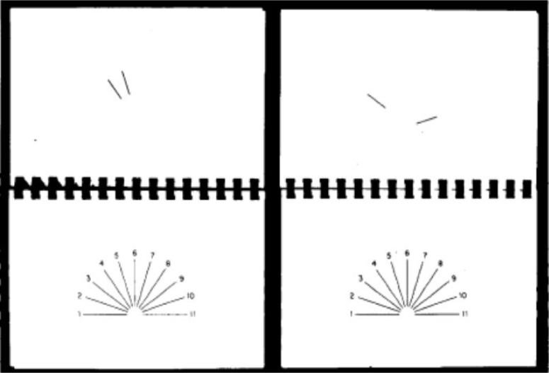 Standardization in the judgment of line orientation test in elderly people in Northeast Brazil.