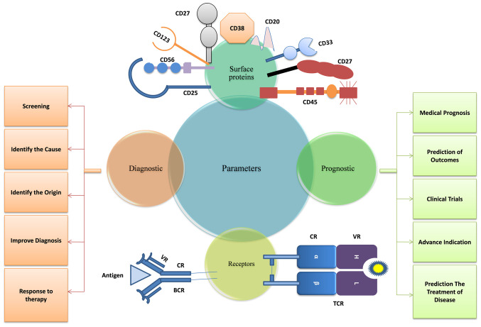 Advancements in leukemia management: Bridging diagnosis, prognosis and nanotechnology (Review).