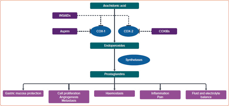 Cardiovascular Implications of Non-steroidal Anti-inflammatory Drugs: A Comprehensive Review, with Emphasis on Patients with Rheumatoid Arthritis.