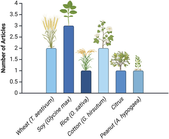 Crop genome editing through tissue-culture-independent transformation methods.